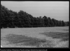 Krajobraz antropo-kulturowy