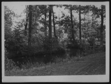 Krajobraz antropo-kulturowy