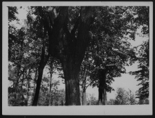 Krajobraz antropo-kulturowy