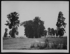 Krajobraz antropo-kulturowy