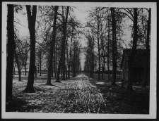 Krajobraz antropo-kulturowy