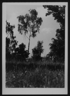 Krajobraz antropo-kulturowy