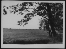 Krajobraz antropo-kulturowy