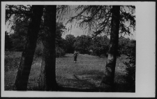 Krajobraz antropo-kulturowy