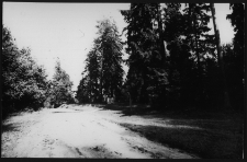 Krajobraz antropo-kulturowy