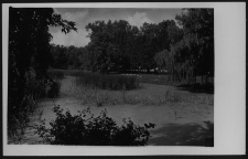 Krajobraz antropo-kulturowy