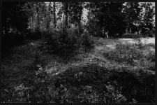 Krajobraz antropo-kulturowy