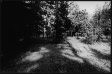 Krajobraz antropo-kulturowy