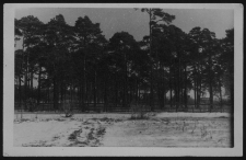 Krajobraz antropo-kulturowy