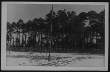 Krajobraz antropo-kulturowy