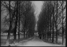 Krajobraz antropo-kulturowy