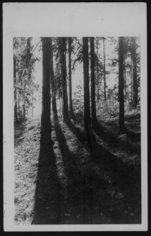 Krajobraz antropo-kulturowy