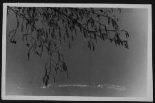 Krajobraz antropo-kulturowy