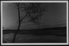 Krajobraz antropo-kulturowy