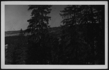 Krajobraz antropo-kulturowy