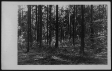 Krajobraz antropo-kulturowy