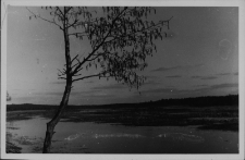 Krajobraz antropo-kulturowy