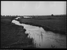 Krajobraz antropo-kulturowy