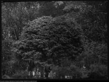 Krajobraz antropo-kulturowy