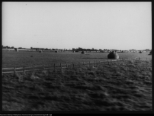 Krajobraz antropo-kulturowy