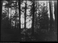 Krajobraz antropo-kulturowy