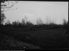 Dowspuda, wycięte drzewa