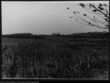 Krajobraz antropo-kulturowy