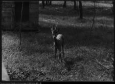 Krajobraz antropo-kulturowy