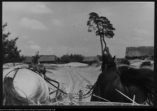 Krajobraz antropo-kulturowy