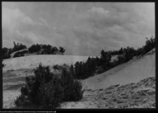 Krajobraz antropo-kulturowy