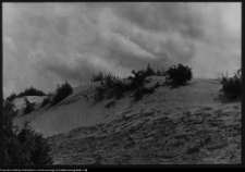 Krajobraz antropo-kulturowy