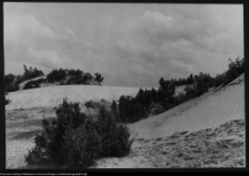 Krajobraz antropo-kulturowy