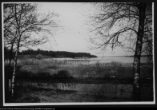 Krajobraz antropo-kulturowy