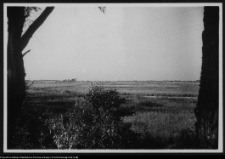 Okolice nadnarwiańskie