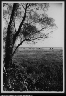 Okolice nadnarwiańskie