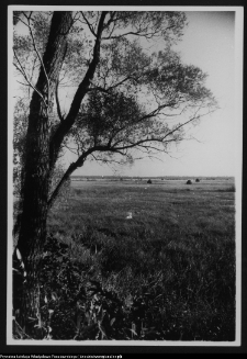 Okolice nadnarwiańskie