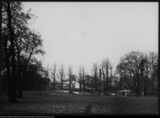 Pietkowo, park przypałacowy