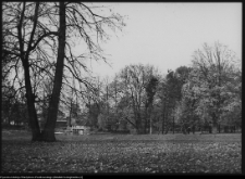 Pietkowo, park przypałacowy