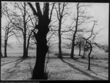 Pawłowicze, okolice dworu