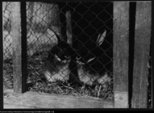 Pawłowicze, dw&oacute;r