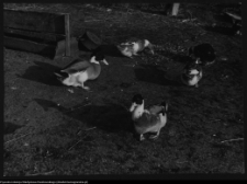 Pawłowicze, dw&oacute;r