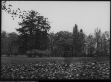 Pietkowo, park przypałacowy