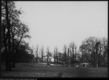 Pietkowo, park przypałacowy