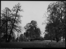 Pietkowo, park przypałacowy