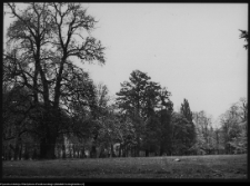 Pietkowo, park przypałacowy