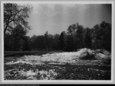Pietkowo, park przypałacowy