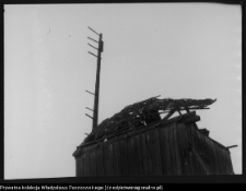 Zubowo, wiatrak koźlak