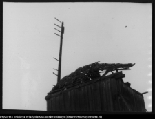 Zubowo, wiatrak koźlak