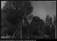 Jasionowo, studnia z obudową sarkofagową we wnętrzu kamienie