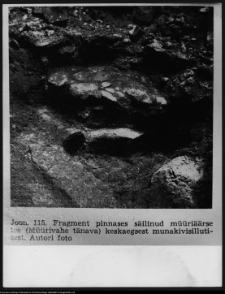 Pożajście, pokamedulski zesp&oacute;ł kościelno-klasztorny